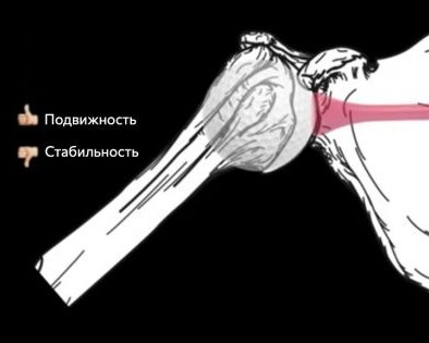 Упражнения для плечевых суставов, которые избавят от боли и скованности