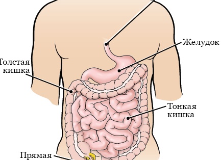 3 привычки, которые вредят вашему сну